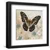 Brown Butterfly-Alan Hopfensperger-Framed Art Print