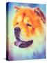 Brown Chines Chow Chow Dog-Grisha Bruev-Stretched Canvas