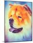 Brown Chines Chow Chow Dog-Grisha Bruev-Mounted Photographic Print
