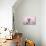 Brown Classic Tabby Smoke Kitten-null-Photographic Print displayed on a wall