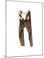 Brown Corduroy Trousers (Michael) 2003-Miles Thistlethwaite-Mounted Giclee Print