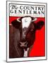 "Brown Cow," Country Gentleman Cover, March 8, 1924-Charles Bull-Mounted Giclee Print