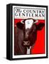 "Brown Cow," Country Gentleman Cover, March 8, 1924-Charles Bull-Framed Stretched Canvas