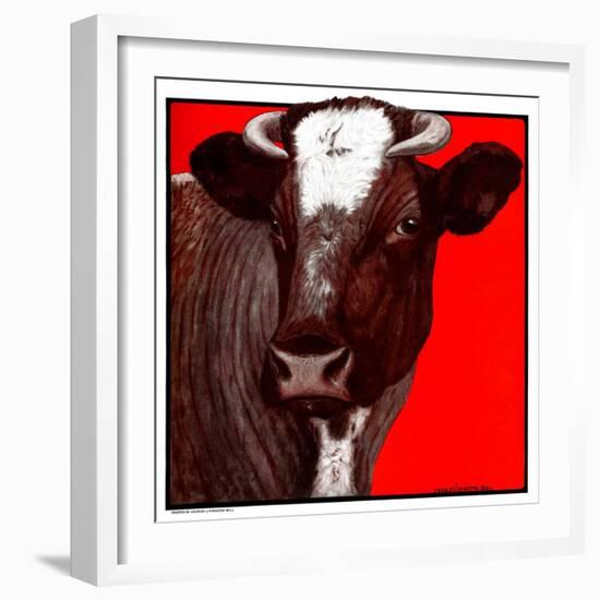 "Brown Cow,"March 8, 1924-Charles Bull-Framed Giclee Print