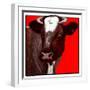 "Brown Cow,"March 8, 1924-Charles Bull-Framed Giclee Print