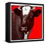 "Brown Cow,"March 8, 1924-Charles Bull-Framed Stretched Canvas