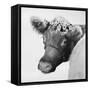 Brown Cow with Flowers-Lori Deiter-Framed Stretched Canvas