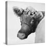 Brown Cow with Flowers-Lori Deiter-Stretched Canvas