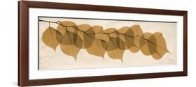 Brown Dalbergia Moments-Albert Koetsier-Framed Premium Giclee Print