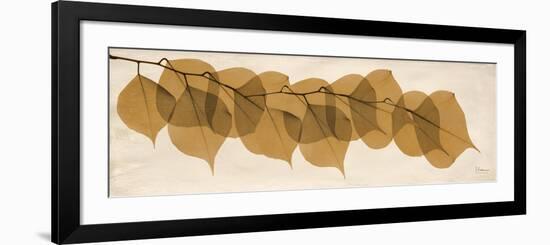 Brown Dalbergia Moments-Albert Koetsier-Framed Premium Giclee Print