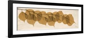 Brown Dalbergia Moments-Albert Koetsier-Framed Premium Giclee Print