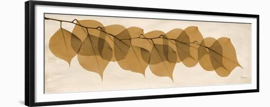 Brown Dalbergia Moments-Albert Koetsier-Framed Premium Giclee Print