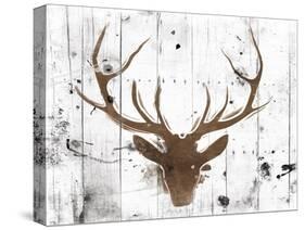 Brown Deer Head-OnRei-Stretched Canvas