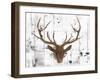 Brown Deer Head-OnRei-Framed Art Print