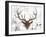 Brown Deer Head-OnRei-Framed Art Print