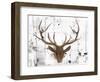 Brown Deer Head-OnRei-Framed Art Print