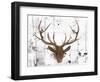 Brown Deer Head-OnRei-Framed Art Print