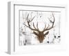 Brown Deer Head-OnRei-Framed Art Print