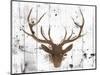 Brown Deer Head-OnRei-Mounted Art Print