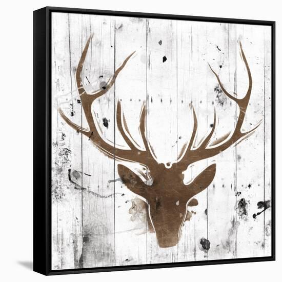 Brown Deer Head-OnRei-Framed Stretched Canvas