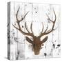 Brown Deer Head-OnRei-Stretched Canvas