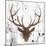 Brown Deer Head-OnRei-Mounted Art Print