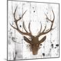 Brown Deer Head-OnRei-Mounted Art Print