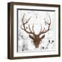 Brown Deer Head-OnRei-Framed Art Print