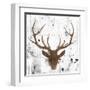 Brown Deer Head-OnRei-Framed Art Print