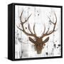 Brown Deer Head-OnRei-Framed Stretched Canvas