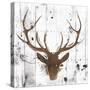 Brown Deer Head-OnRei-Stretched Canvas