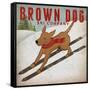 Brown Dog Ski Co-Ryan Fowler-Framed Stretched Canvas