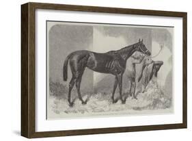 Brown Duchess, Winner of the Oaks-Harry Hall-Framed Giclee Print