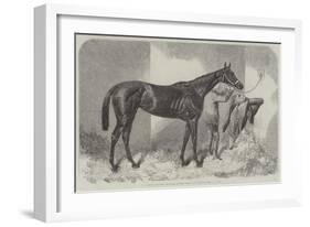 Brown Duchess, Winner of the Oaks-Harry Hall-Framed Giclee Print