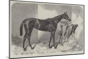 Brown Duchess, Winner of the Oaks-Harry Hall-Mounted Giclee Print