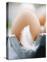 Brown Eggs with Feathers in an Egg Box-null-Stretched Canvas