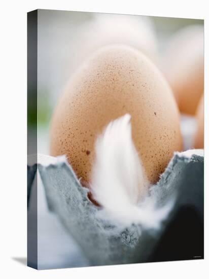 Brown Eggs with Feathers in an Egg Box-null-Stretched Canvas