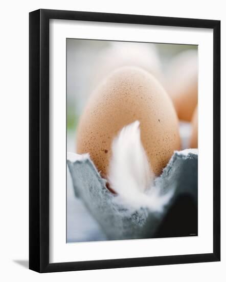 Brown Eggs with Feathers in an Egg Box-null-Framed Photographic Print