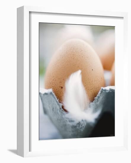 Brown Eggs with Feathers in an Egg Box-null-Framed Photographic Print