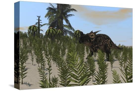 Stretched Canvas Print, , large