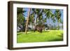 Brown Einiosaurus Walking across a Grassy Field-null-Framed Art Print