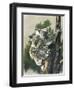 Brown-Eyed Beauties-Barbara Keith-Framed Giclee Print