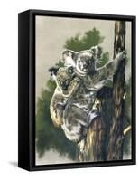 Brown-Eyed Beauties-Barbara Keith-Framed Stretched Canvas