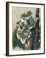 Brown-Eyed Beauties-Barbara Keith-Framed Giclee Print