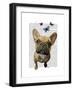 Brown French Bulldog and Butterflies-Fab Funky-Framed Art Print