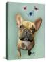 Brown French Bulldog and Butterflies-Fab Funky-Stretched Canvas