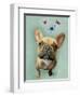 Brown French Bulldog and Butterflies-Fab Funky-Framed Art Print