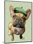 Brown French Bulldog with Green Hat-Fab Funky-Mounted Art Print