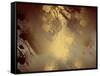 Brown Golden Abstract  Background for Design-ollen-Framed Stretched Canvas