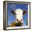 Brown Holstein Cow In The Field Looking At You-Volokhatiuk-Framed Photographic Print